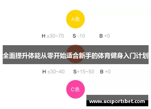 全面提升体能从零开始适合新手的体育健身入门计划