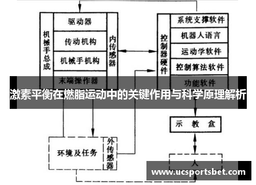 激素平衡在燃脂运动中的关键作用与科学原理解析