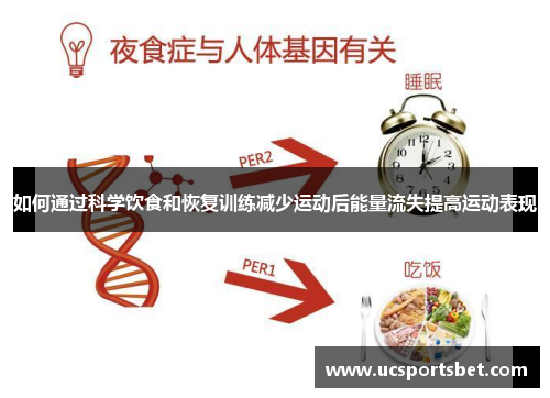 如何通过科学饮食和恢复训练减少运动后能量流失提高运动表现