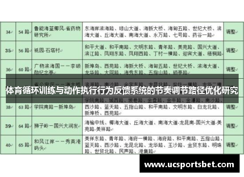 体育循环训练与动作执行行为反馈系统的节奏调节路径优化研究