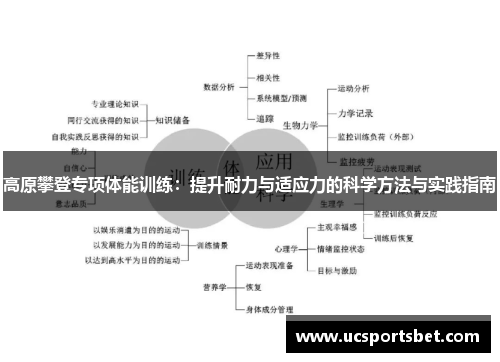 高原攀登专项体能训练：提升耐力与适应力的科学方法与实践指南